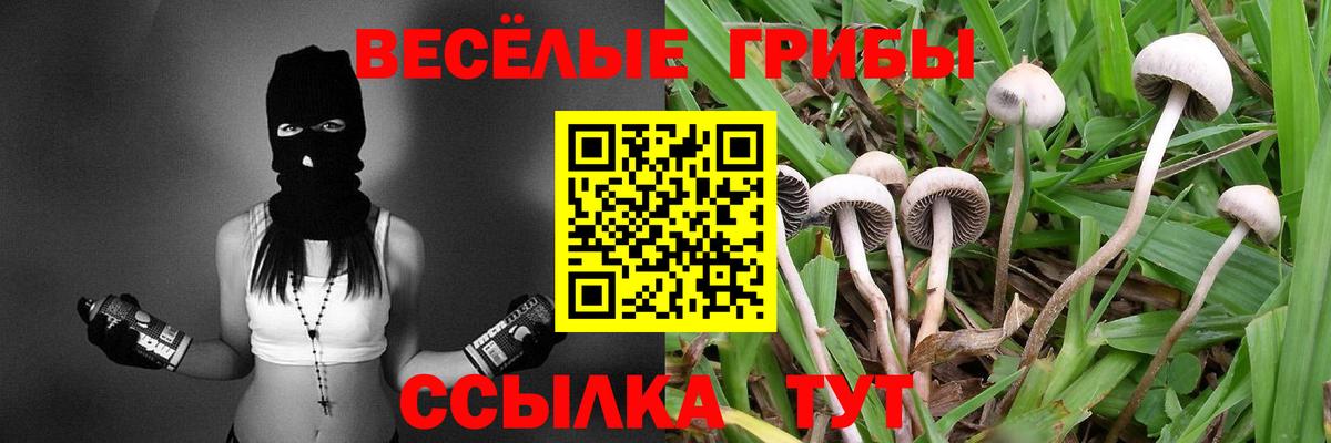 Галлюциногенные грибы мицелий Щёкино