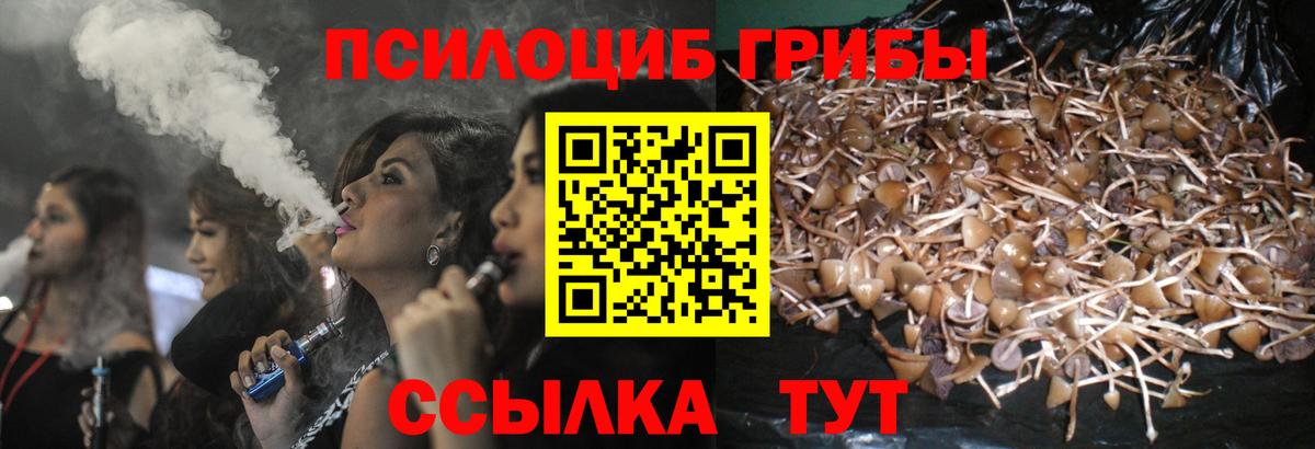 Галлюциногенные грибы GOLDEN TEACHER  Вход с VPN  Щёкино 