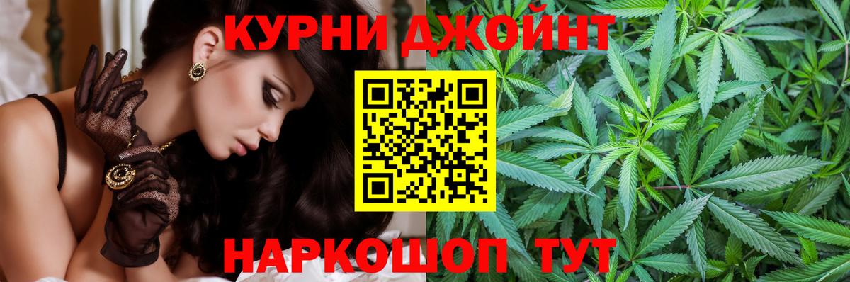 Конопля White Widow  Вход с VPN  Щёкино  Канабис AK-47 